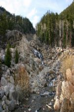 Click To View This Image