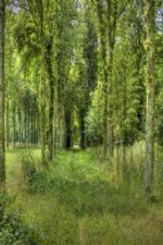 Click To View This Image