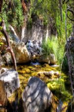 Click To View This Image