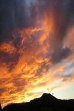 Click To View This Image