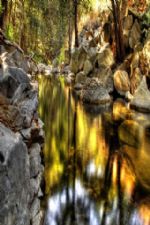 Click To View This Image