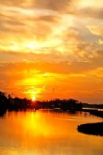 Click To View This Image