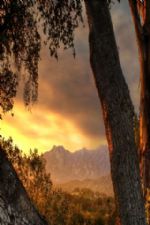 Click To View This Image