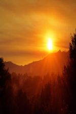 Click To View This Image