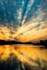 Click To View This Image