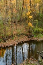 Click To View This Image