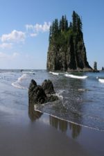 Click To View This Image