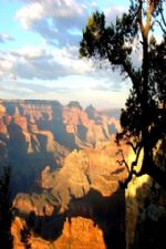 Click To View This Image