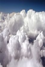 Click To View This Image