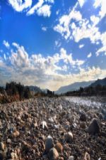 Click To View This Image