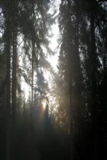 Click To View This Image