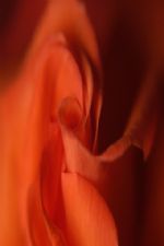 Click To View This Image