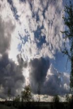 Click To View This Image