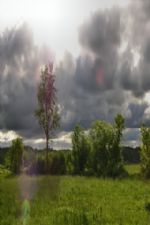 Click To View This Image