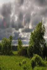 Click To View This Image