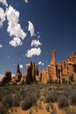 Click To View This Image