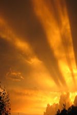 Click To View This Image