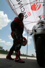 Click To View This Image