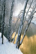 Click To View This Image