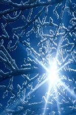 Click To View This Image