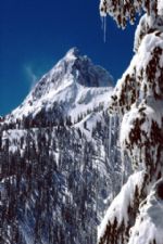 Click To View This Image