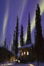 Click To View This Image