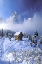 Click To View This Image