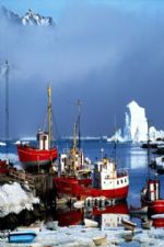 Click To View This Image