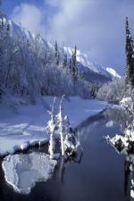 Click To View This Image