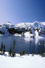 Click To View This Image