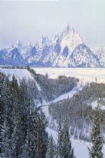 Click To View This Image