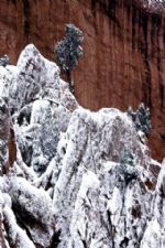 Click To View This Image