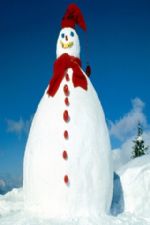 Click To View This Image