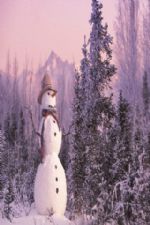 Click To View This Image