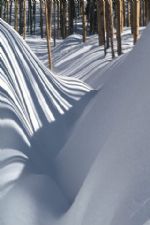 Click To View This Image