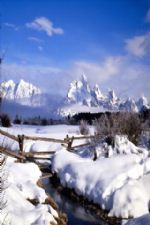 Click To View This Image