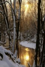 Click To View This Image