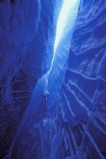 Click To View This Image