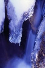 Click To View This Image