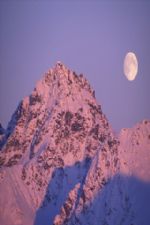 Click To View This Image