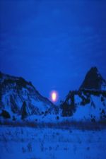 Click To View This Image