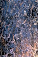 Click To View This Image