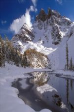 Click To View This Image