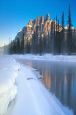 Click To View This Image