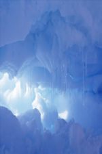 Click To View This Image