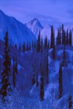 Click To View This Image