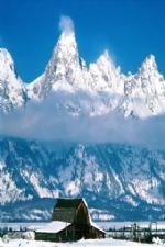 Click To View This Image