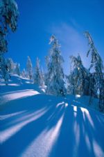 Click To View This Image