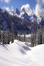 Click To View This Image