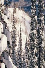 Click To View This Image